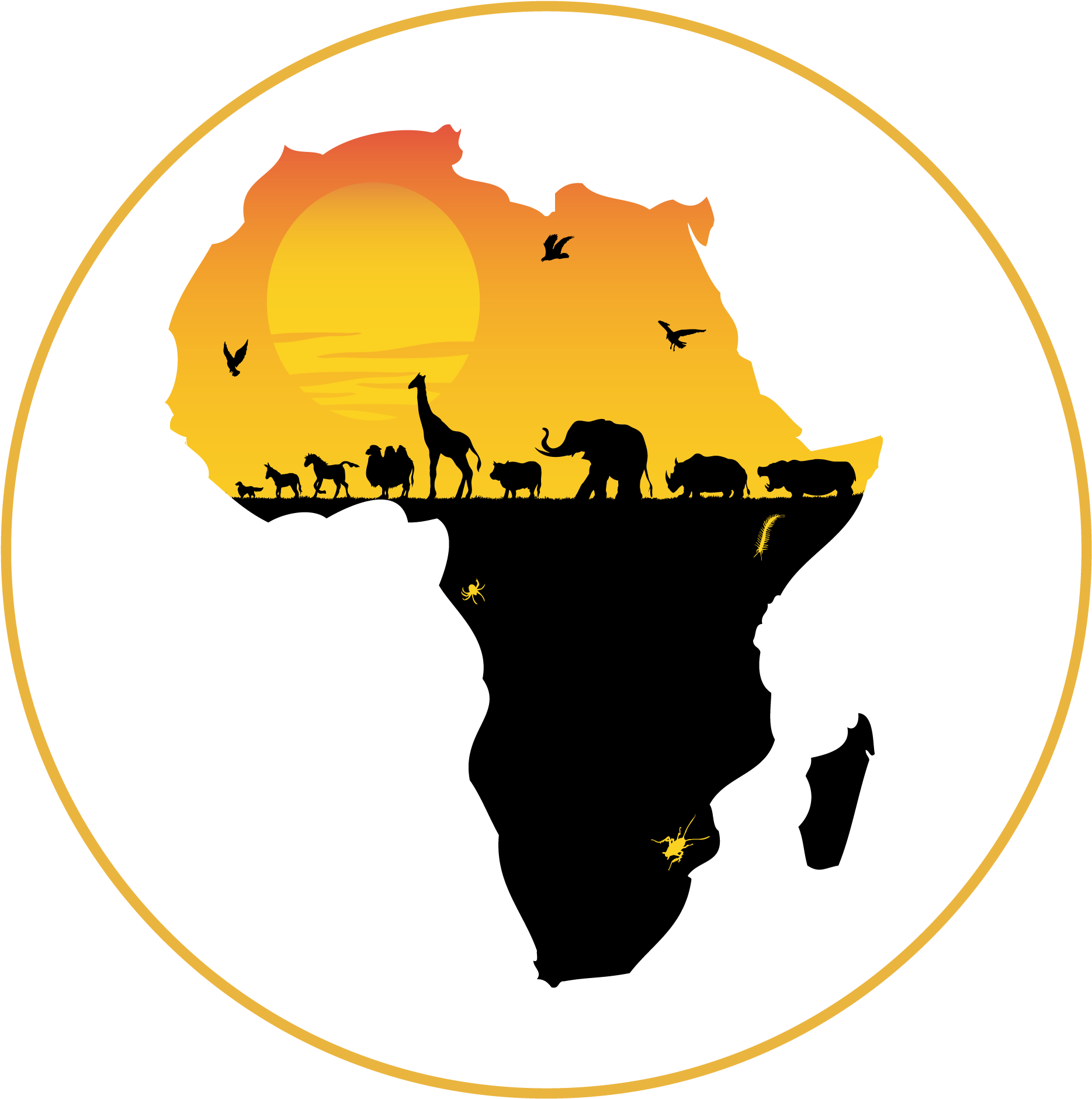 ERP Software in Africa