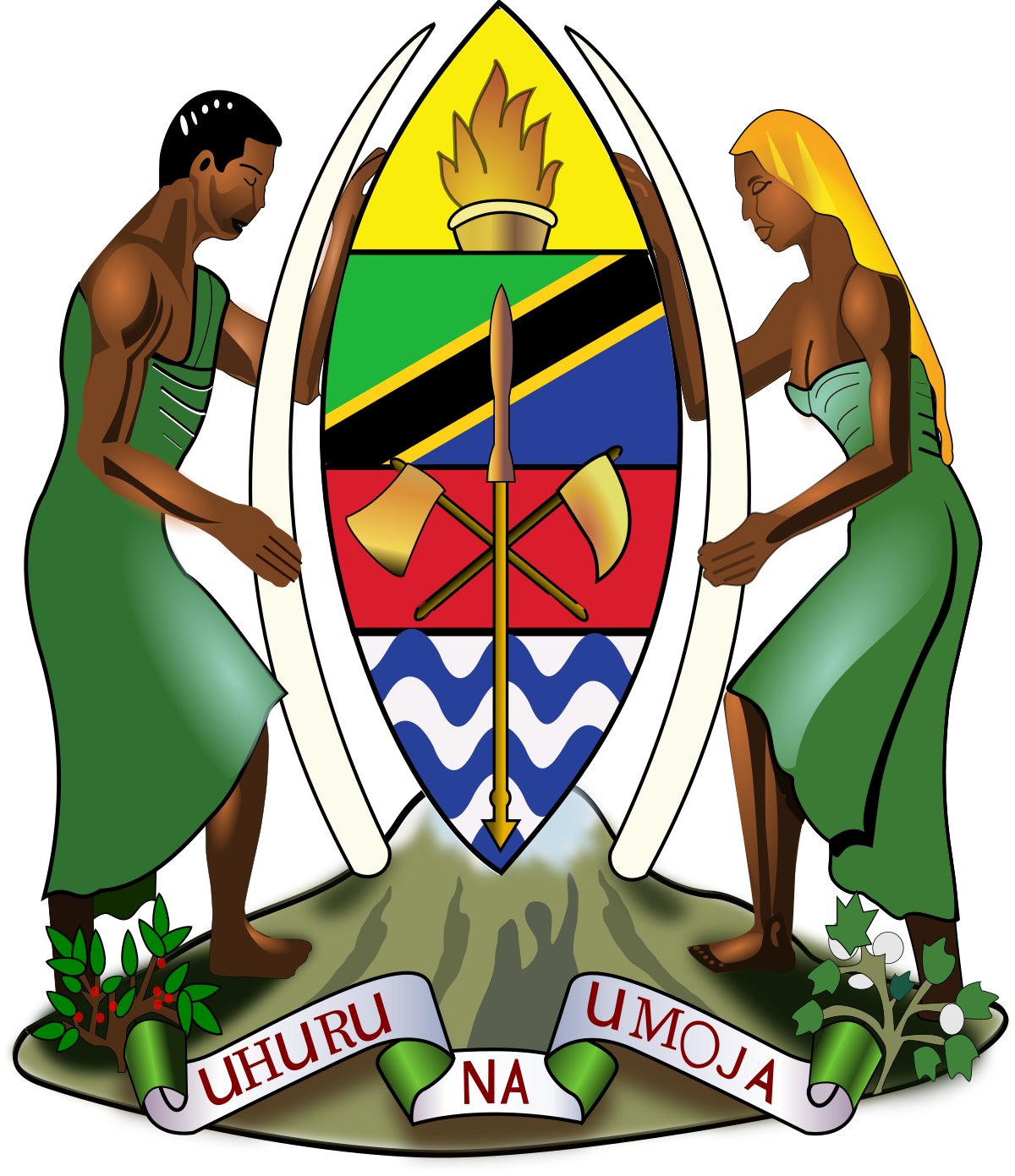 Tanzania Flag